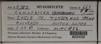 Image Associated With the Occurence